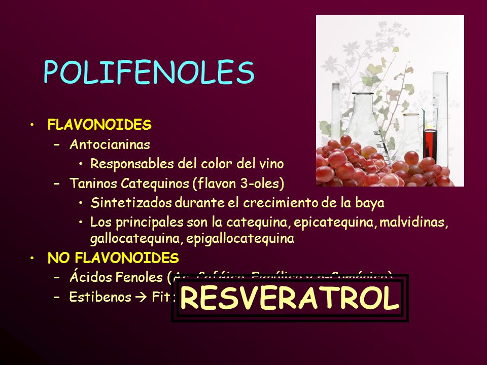 Que son los polifenoles y flavonoides Que son los polifenoles y flavonoides